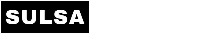 사주술사