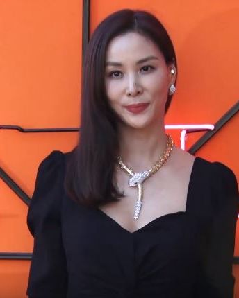 고소영 사진 2 — 고소영 사주와 경오일주