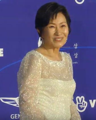 김혜자 사진 2 — 김혜자 사주와 병오일주