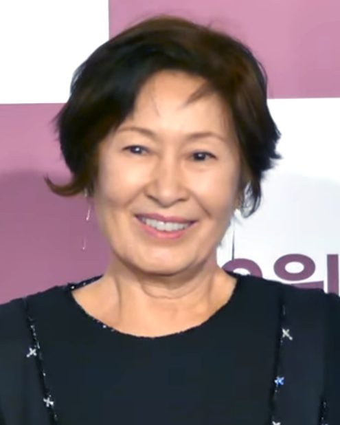 김혜자 사진 — 배우 김혜자 사주