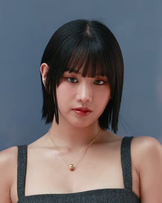나띠 사진