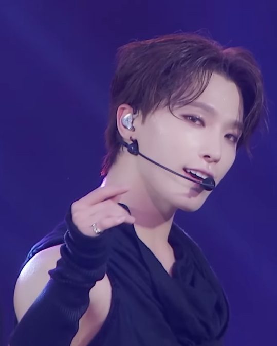 디노 사진