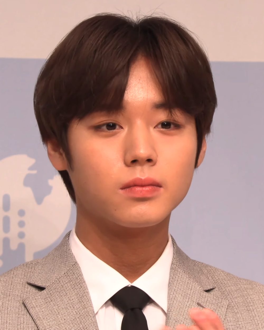 박지훈 사진 — 워너원 박지훈 사주