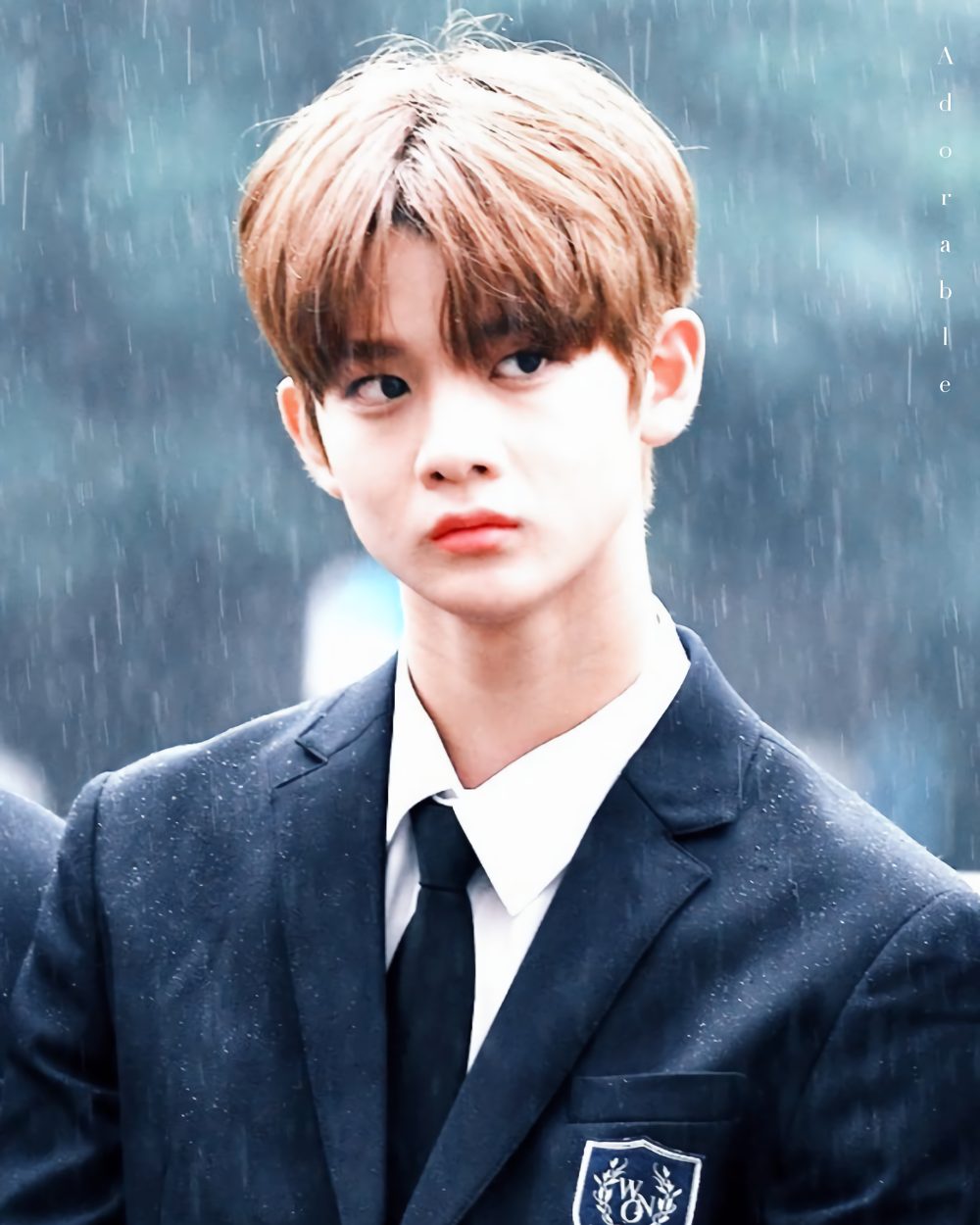 배진영 사진 — 워너원 배진영 사주