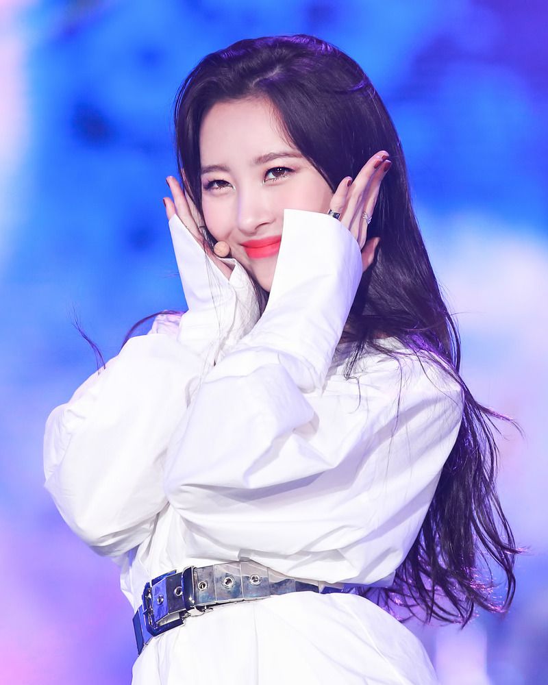선미 사진 2 — 선미 사주와 무인일주