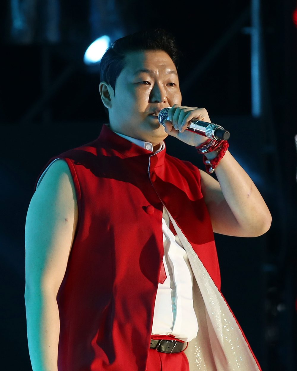 싸이 사진