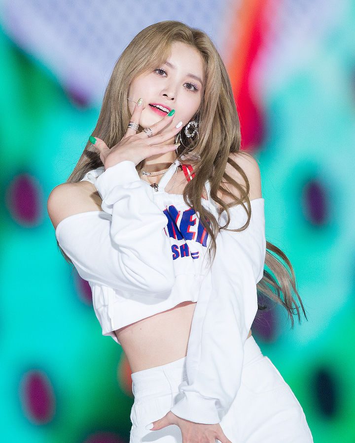 정화 사진