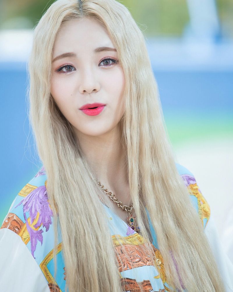 진솔 사진 3 — 진솔 사주와 병술일주