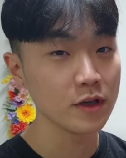 쿤디판다 사진