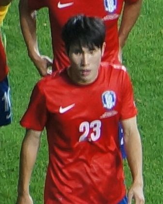 한국영