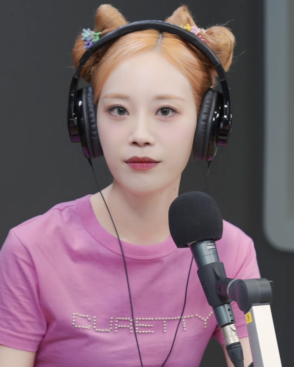 허영지