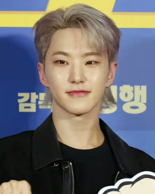 호시 사진